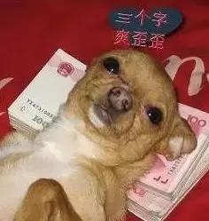 穷人这样选专业,未来收入远超同龄人,快速获取人生第一桶金