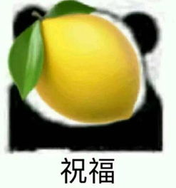 聊天专用的搞笑表情臭弟弟闭嘴好吗我一个人玩儿