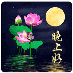 睡前晚安问候祝福图片带字,群发晚上好问候动态表情包