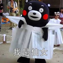 是时候告诉你我的真实身份了