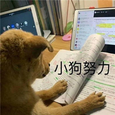 2022全新超级有趣味的表情最新最近手头有点紧