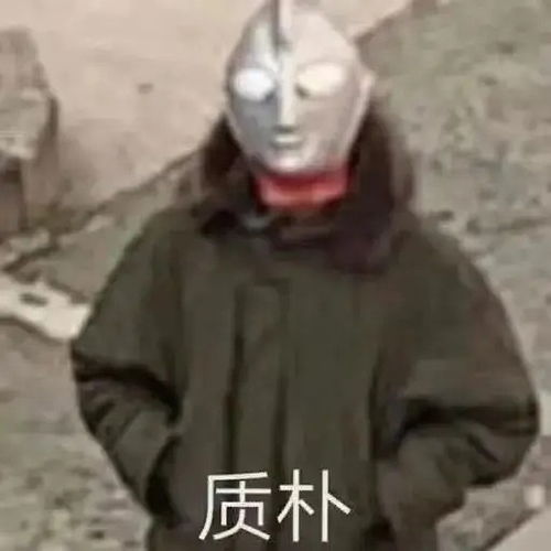 求拧巴文学没错就是春光浪费代餐