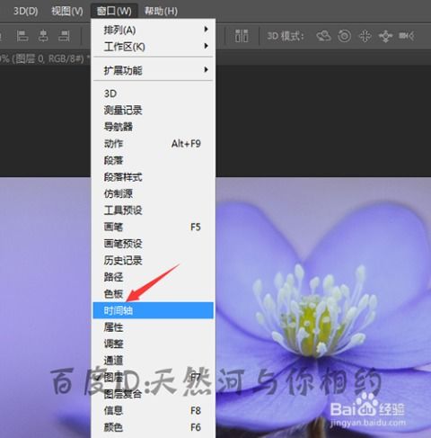 bmp图片制作动画效果动画制作