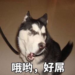 搞笑图片赶快拿走不谢