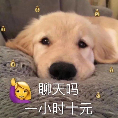 超级沙雕的表情包呀