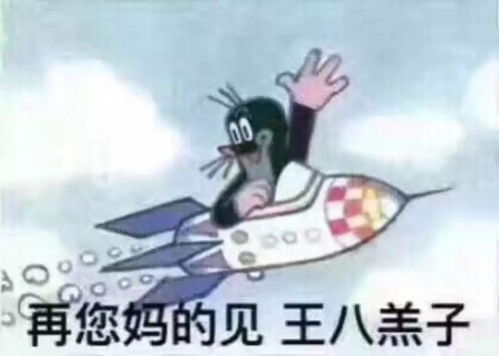 来看看各国网友怎么骂dg的再您妈的见
