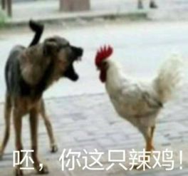 新闻哥男教师屡屡骚扰女家长,被处分偏远乡镇支教2年,色狼下乡啊