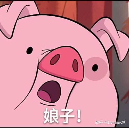 有没有类似瑞克和莫蒂的剧