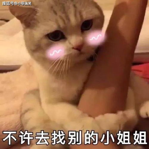 搞笑gif趣图遇到这样的男朋友就嫁了吧对你多好啊