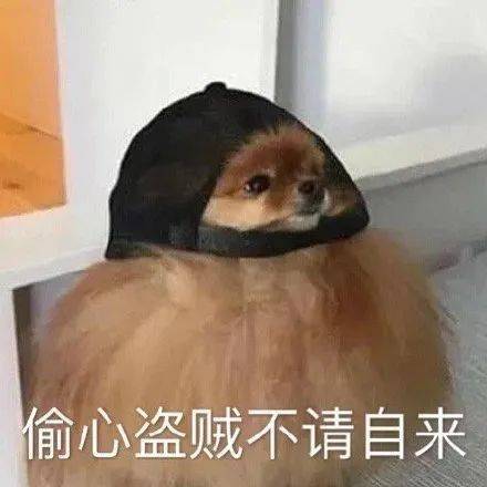 你想要的沙雕表情包,我都能安排