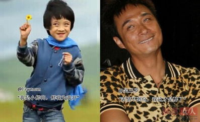 angelababy笑到下巴歪为上真人秀明星们都拼了