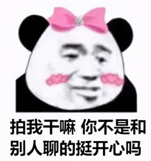 熊猫头表情包小哥哥,听到没,你要以爱我为荣,绿我为耻,