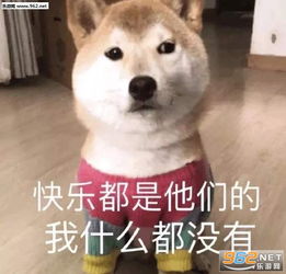 真的好好笑哦勉强表情图片你看我像开心吗表情包下载乐游网游戏下载