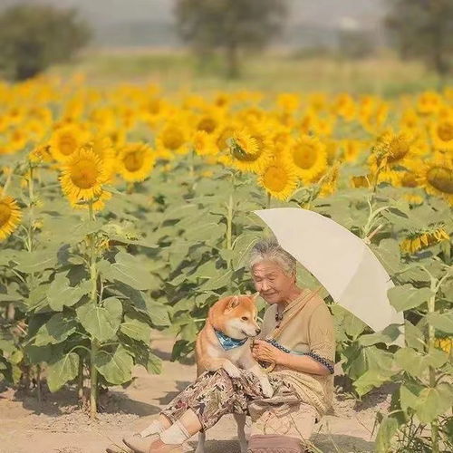 约翰马尔科维奇明星资料大全约翰马尔科维奇动态约翰马尔科维奇电视剧电影爱奇艺泡泡