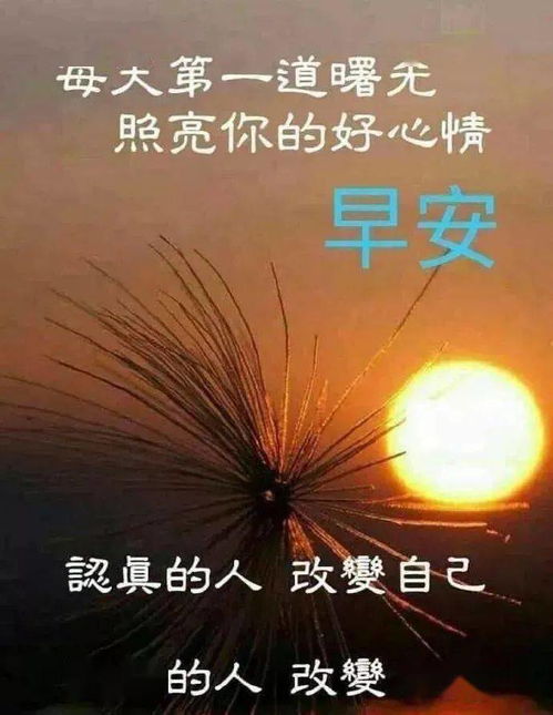 七月早上好问候祝福语图片短信句子漂亮的早上好暖心问候表情祝福图片