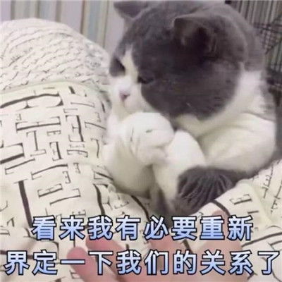 2021最热土味情话经典表情包去做自己喜欢做的事