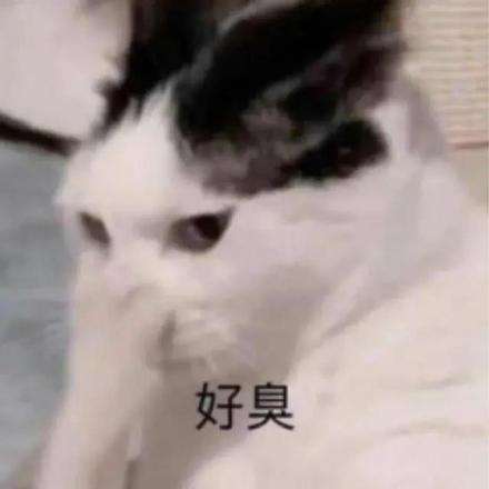 梧州人,连续下雨一周终于要停了