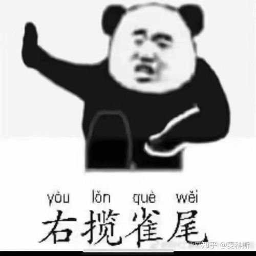 你有哪些让你一秒变开心的表情包