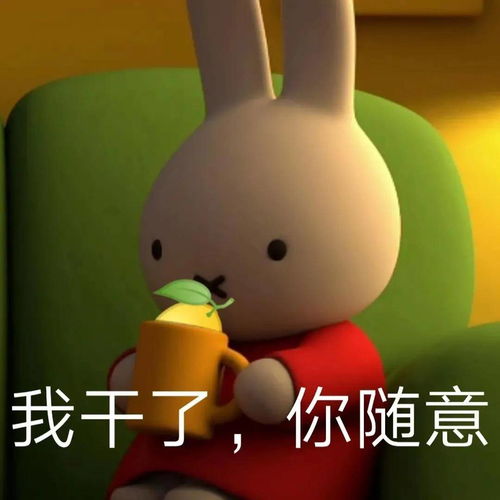表情包miffy米菲兔表情包第三弹