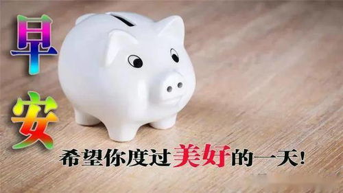 我不生气,不代表我没脾气我不计较,不代表我脾气好,早安
