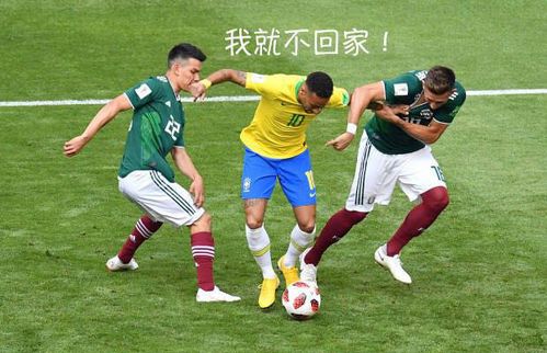 世界杯鏖战你熬夜,乌药铁皮石斛人参颗粒解救熬夜肝