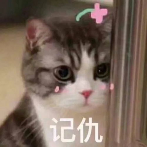 为什么还不能开学这个模拟视频告诉你,如果现在开学有多可怕