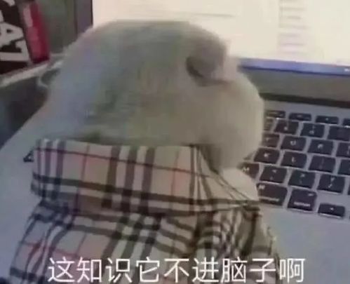 超级搞笑表情包瞌睡