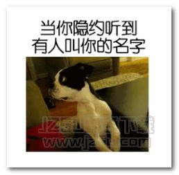 奇葩动物文字表情图片奇葩动物文字表情包完整版jz5u绿色下载站