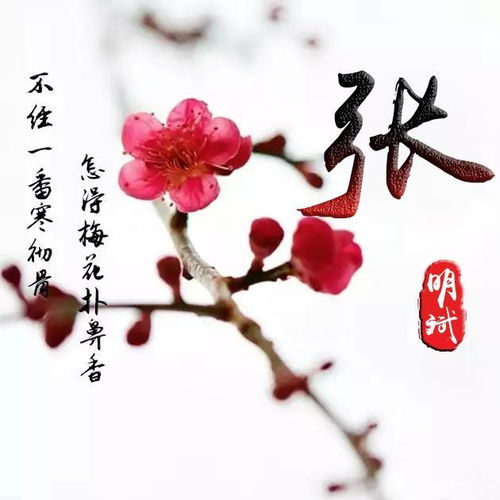 用你的名字做微信头像,精选商务艺术签名头像,留姓名我来设计