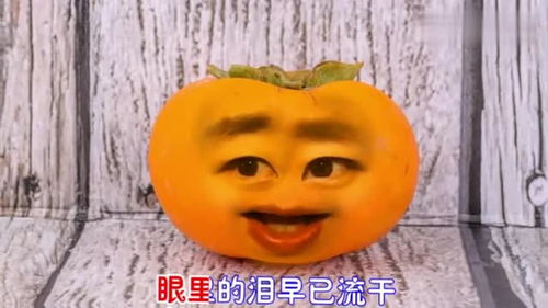 爆笑改编柠檬版下定决心忘记你,柠檬的表情太搞笑了