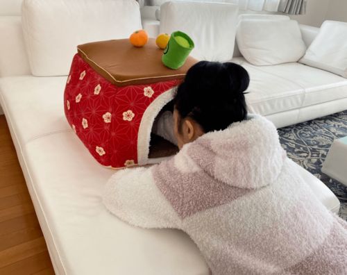 据说一旦有猫之后,就会变成一个奇奇怪怪的人
