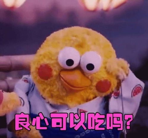 搞笑表情包良心可以吃吗,良心这种东西,我们没有