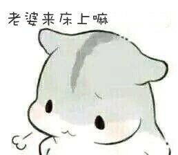 起床头发乱糟糟表情包