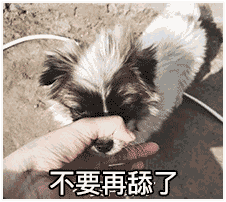 答应我,别当舔狗了好吗