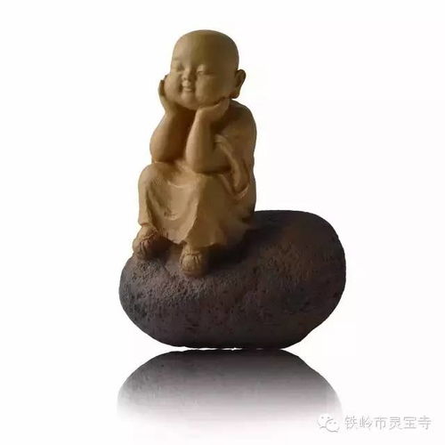 人生世间,幻住数十年
