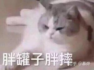 喜欢的女生把我删微信了,我还坚持每月加她一次是不是很傻