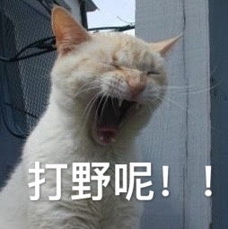王者荣耀咆哮表情包打个游戏嗓子都要吼哑了