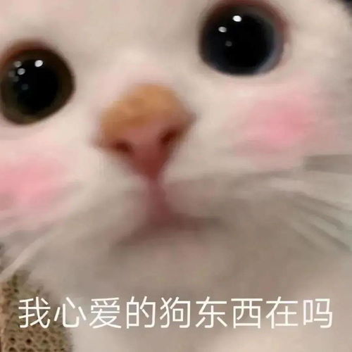 好玩的可爱表情包
