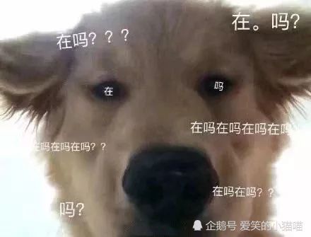 搞笑文案舔狗篇宝,昨天你把我删了,我看着红色的感叹号,陷入了沉思.