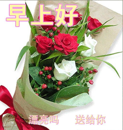 微信很火早晨正能量问候唯美动态图片清晨祝福简短语录