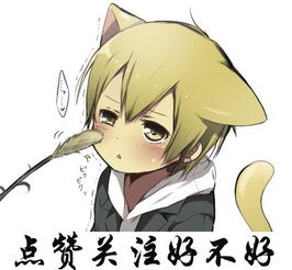 猫的经典qq卡通头像动漫头像