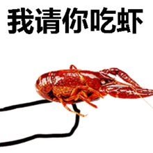 有个超爱看抖音的女朋友,是什么体验