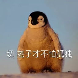 沙雕小动物表情包越可爱,越萌,越骚