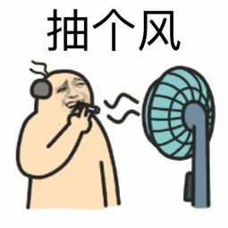 我回来了