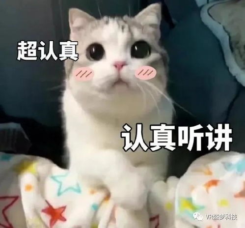 展会进行时2020亚洲数字展览展示博览会,我们来了