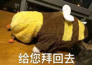 拜年表情包给您拜年了,给您拜回去