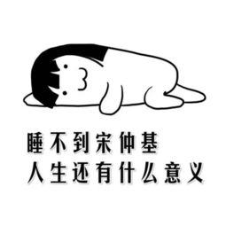 宋仲基的老婆请进搜狐其它搜狐网