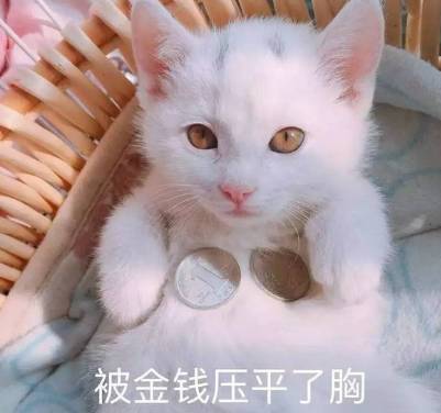 人傻钱多不止杨乐乐,娱乐圈还有很多明星都被骗