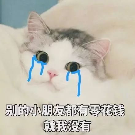 猫咪表情包,前方高萌预警
