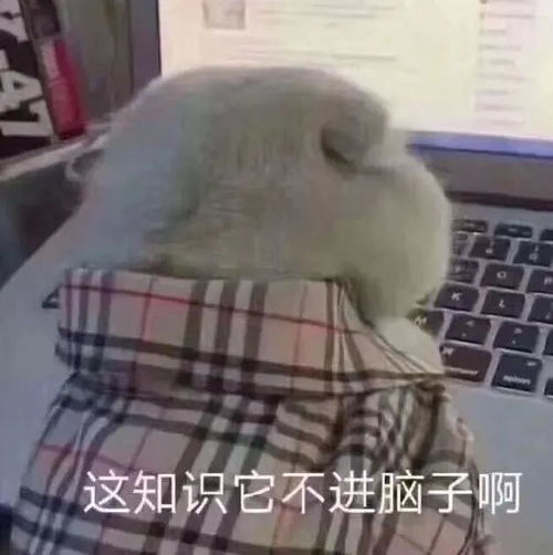 毕业前夕,我在国鑫找回了对生活的热爱